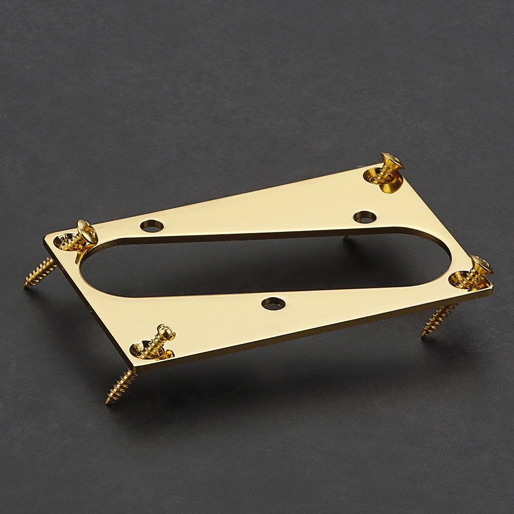 Conversion pickup mounting ring guitar-humbucker to telecaster bridge arcylic mirror