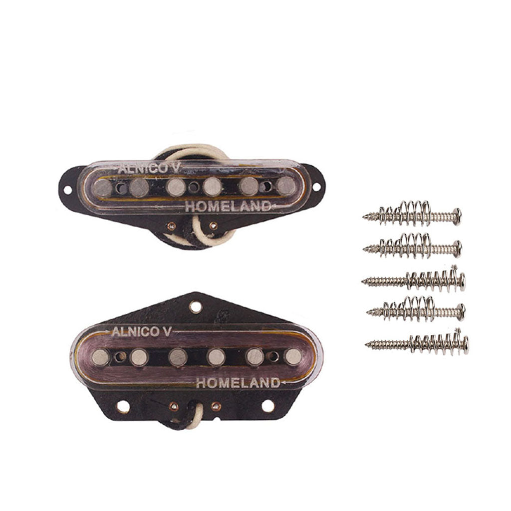 Antiquity Te le pickup set NEW neck & bridge